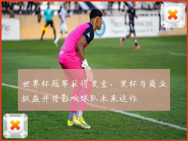 世界杯冠军获得奖金、奖杯与商业权益并将影响球队未来运作