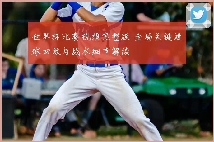 世界杯比赛视频完整版 全场关键进球回放与战术细节解读