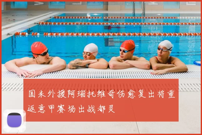 国米外援阿瑙托维奇伤愈复出将重返意甲赛场出战都灵