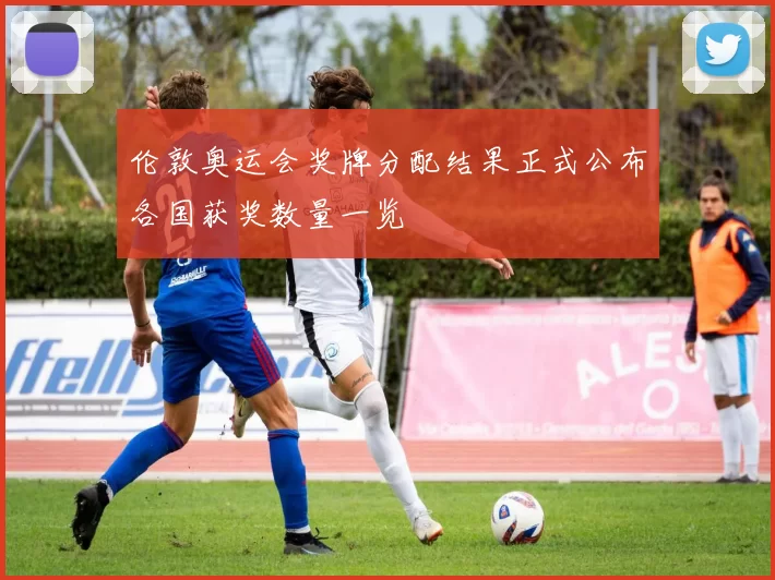 伦敦奥运会奖牌分配结果正式公布各国获奖数量一览