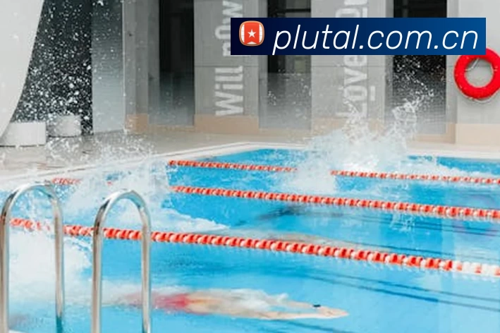 333体育(中国)官方网站 - 333 SPORTS服务体系